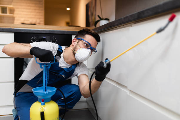 Best Affordable Pest Control Services  in Riley, KS