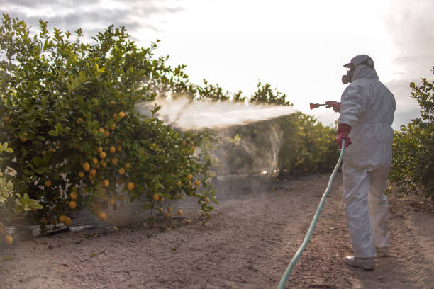 Best Best Pest Control Companies  in Riley, KS