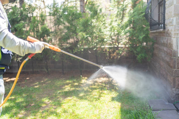 Best Flea Control Services  in Riley, KS