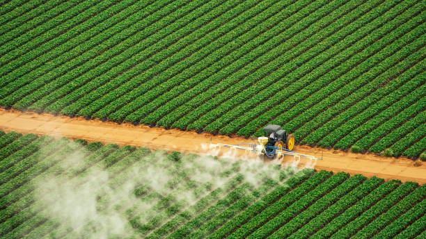Best Pest Prevention Services  in Riley, KS