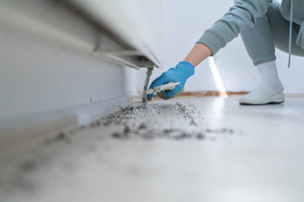 Best Exterminator Services  in Riley, KS